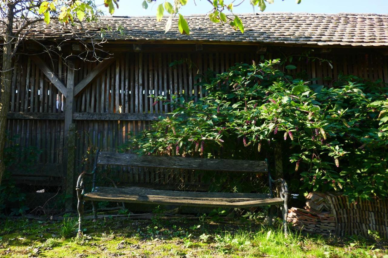 House Of Lovra Διαμέρισμα Kneževi Vinogradi Εξωτερικό φωτογραφία